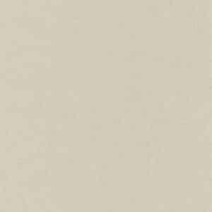 Caselio Linen Uni - Beige