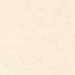 Caselio Beton Uni Taupe Beige Clair BET101481258