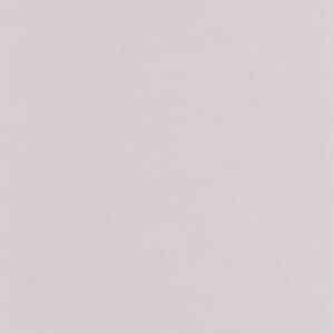 Caselio Uni Mat Gris Souris LNE103229932