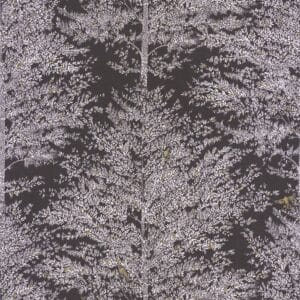Caselio Tree Of Life Noir Et Blanc FRT102979037