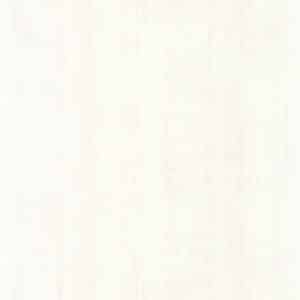 Casadeco Beton Blanc Albâtre COLR88060116