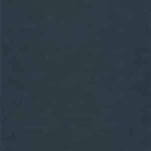 Casadeco Leathers Galuchat Bleu Nuit LEAT87166805