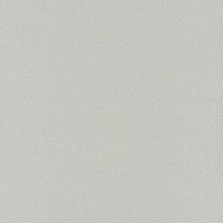 AFdhiR9cKV