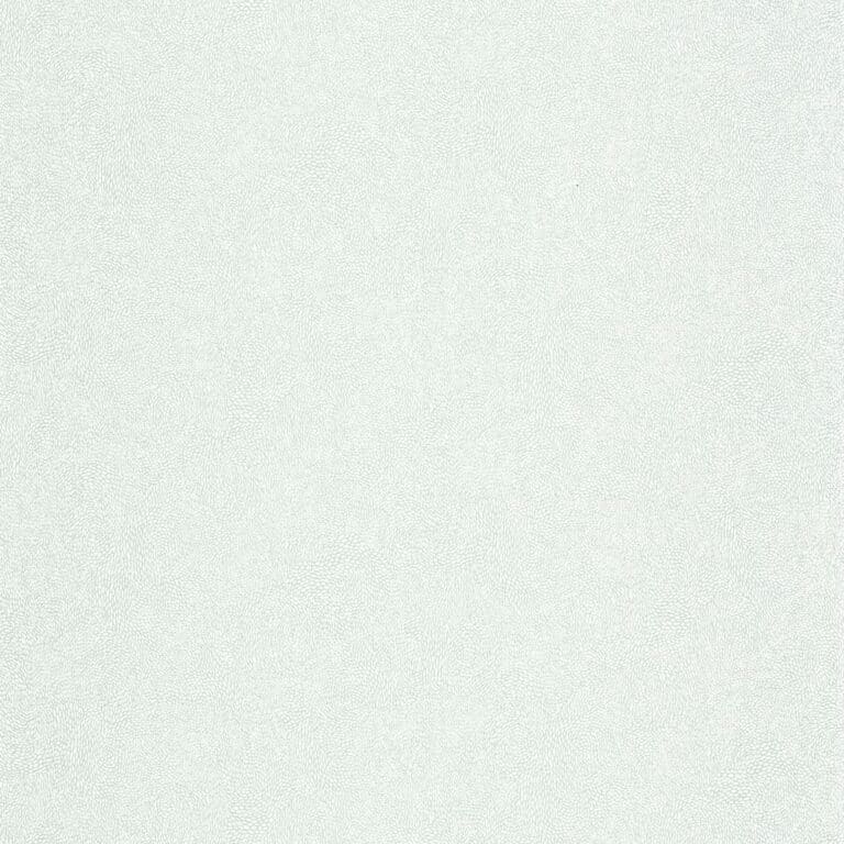 AjaoW3DLlT