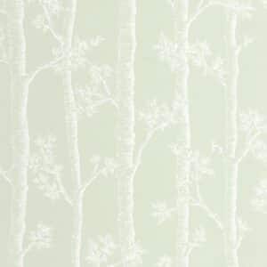 Caselio Automne Vert D Eau BLD106127075