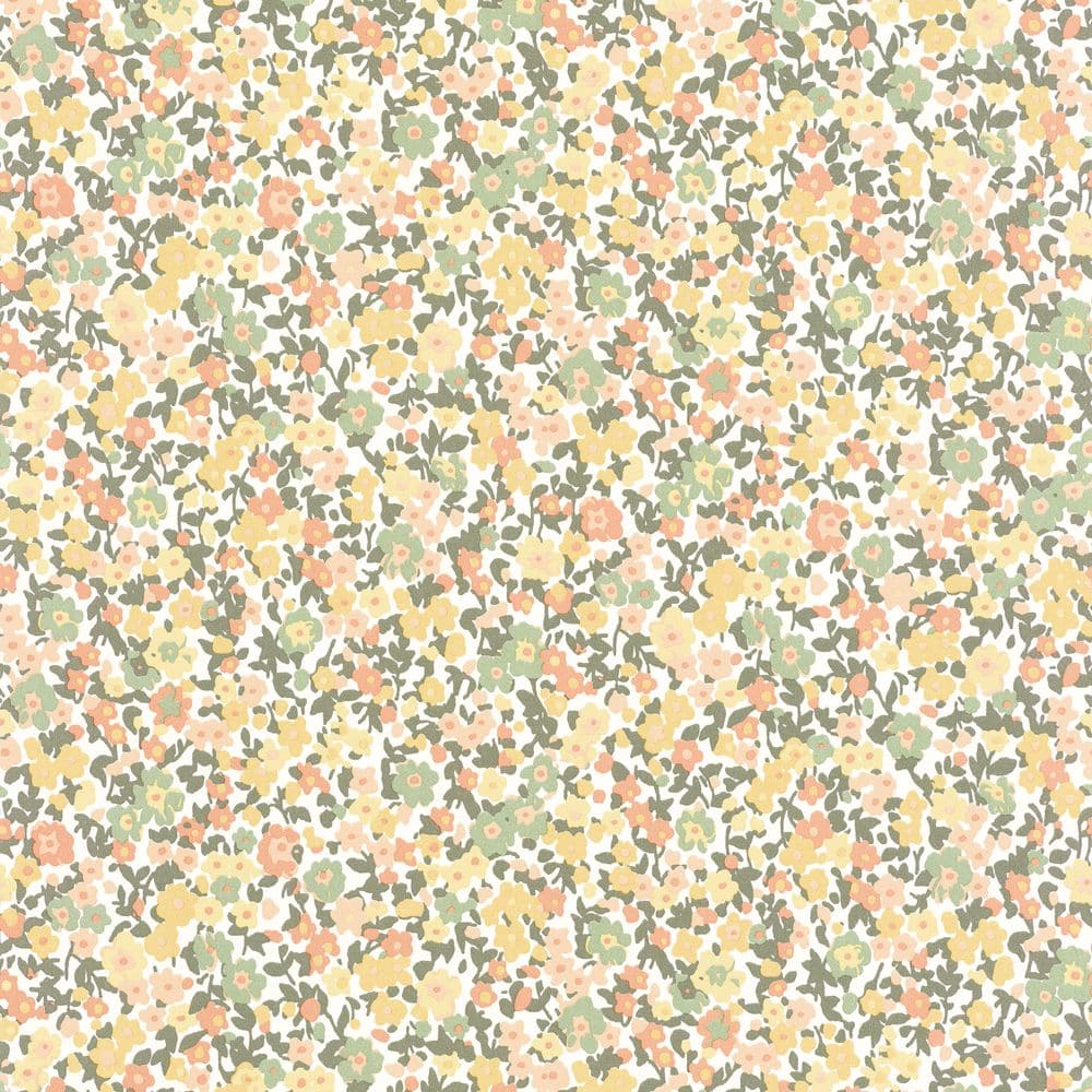 Cqq5QWdjcO