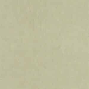 Casadeco Cotton Touch Vert Sauge COTO82387462