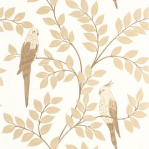 Caselio Equateur - Taupe