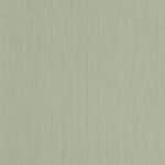 EFLyolIhX0