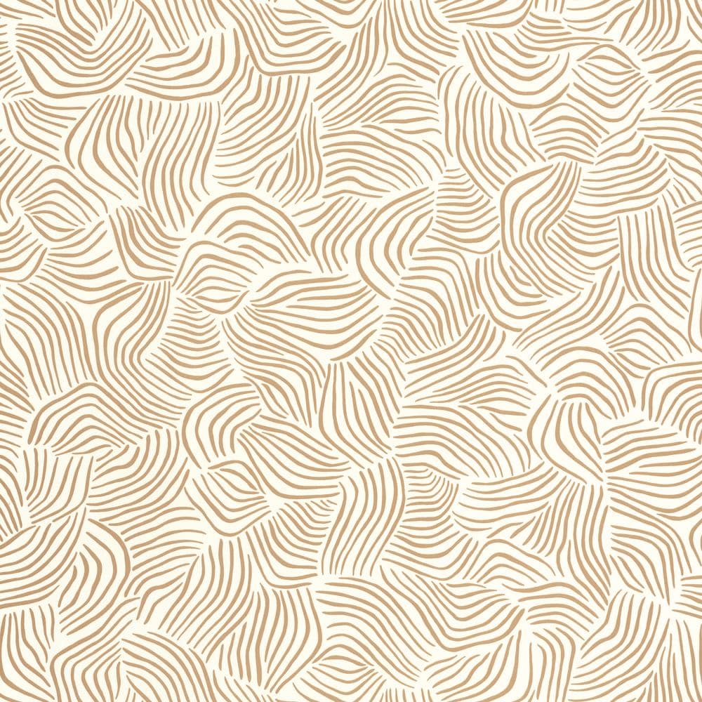 EmCD09vyV3