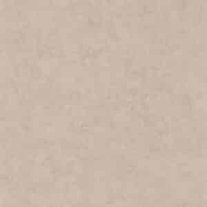 Caselio Beton Uni Taupe Beige Fonce BET101481342