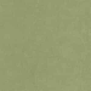 Casadeco Cotton Touch Vert Cactus COTO82387512
