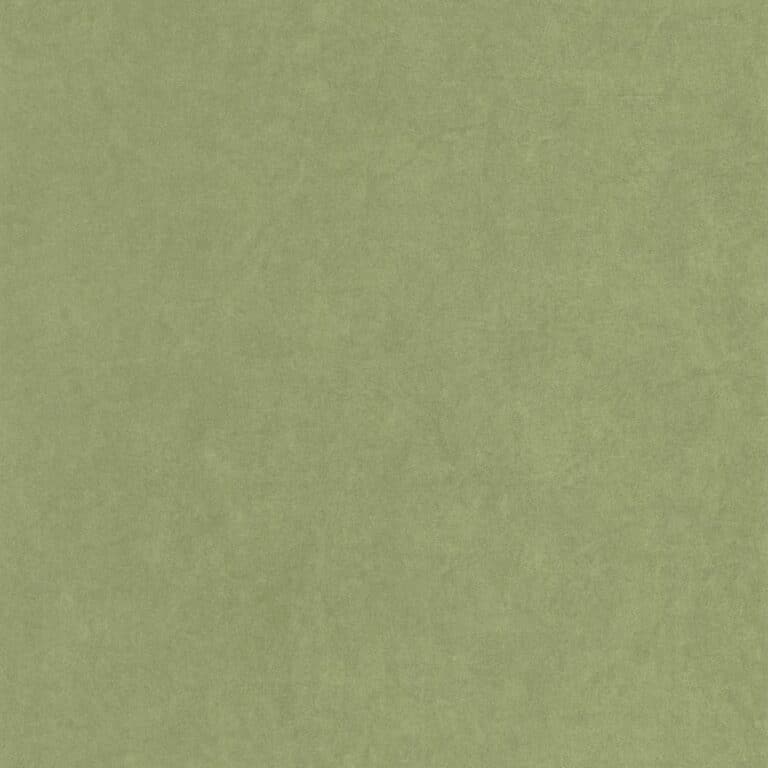 FyNBukhFsR