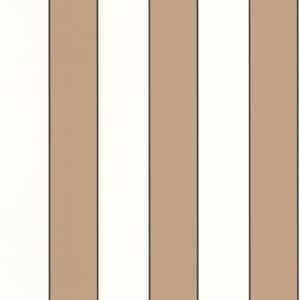 Caselio Golden Lines Camel Blanc BAI101070217