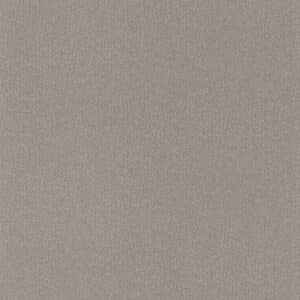 Caselio Color Box 3 Chevron Uni Taupe Beige CB3102222010
