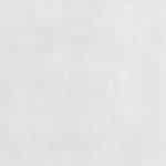 10005 – Left211