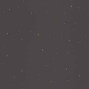 Caselio Under The Stars Noir FRT102969983