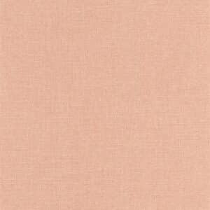 Caselio Color Box 3 Uni Mat Rose Poudre CB3104014181