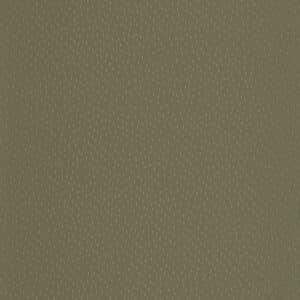Caselio Eden Kaki Dore EPO103737051