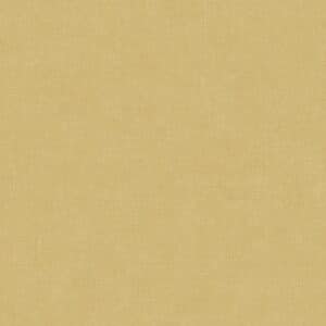 Casadeco So Color 4 Uni Or SCOL80512224