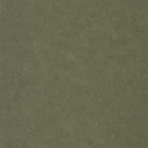 Caselio Uni Metallise/ Irise Kaki Dore AZU105257024