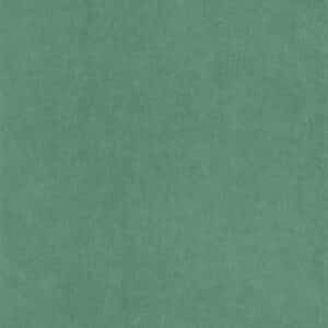 Casadeco Cotton Touch Vert Canopee COTO82387647
