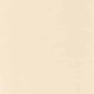 Caselio Uni Beauty Full Image Beige Calcaire BFM101561055