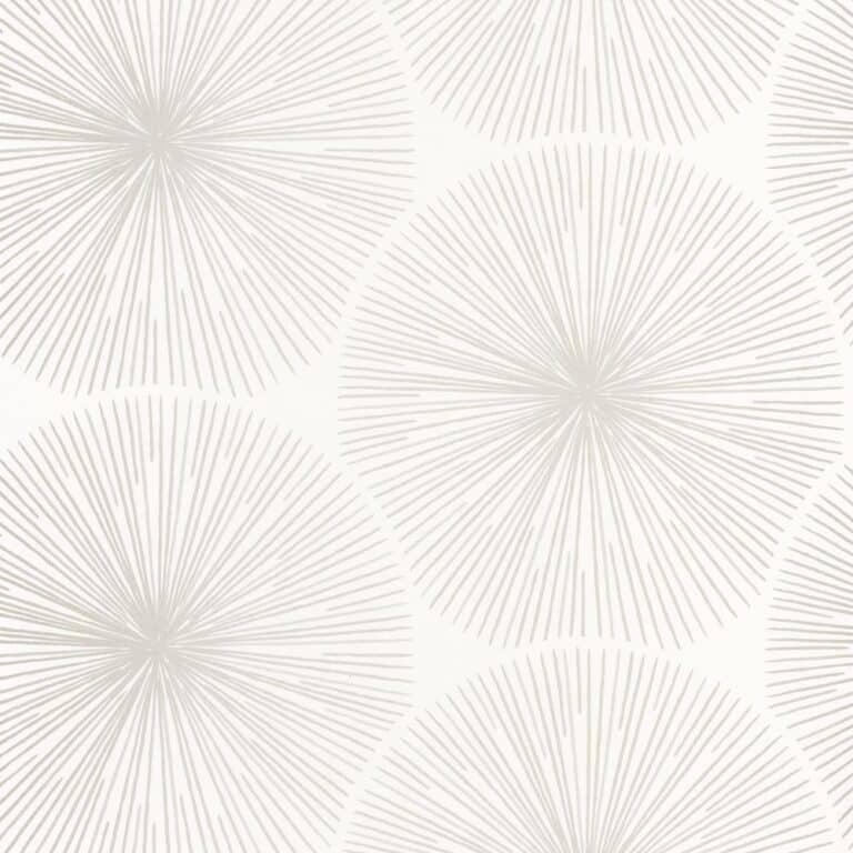 Us8dFQMc11