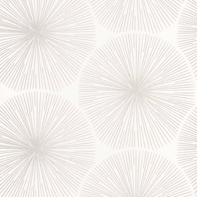 Us8dFQMc11