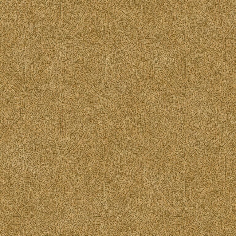 XWzhu3NCp1