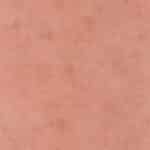 ZTyyPP9EIs