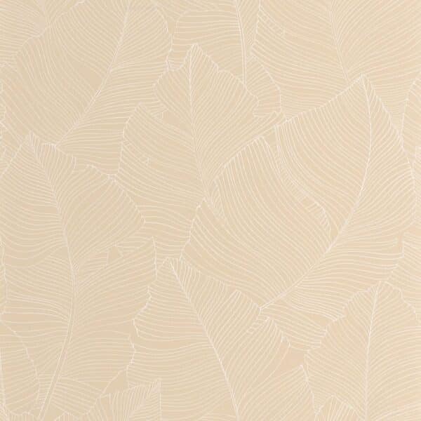 bniSUWbz5X