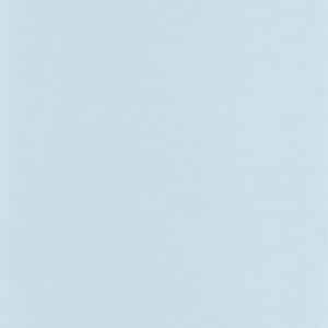 Caselio Uni Mat Bleu Gris LNE103226298