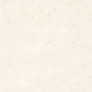 Caselio Beton Uni Beige Nacre BET101491019