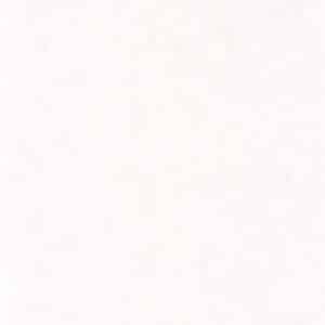 Caselio Beton Uni Blanc BET101480000