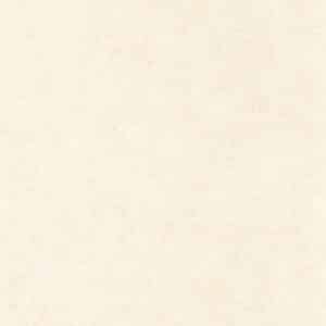 Casadeco Mur A La Chaux Beige Gres COLR88091138