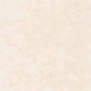 Caselio Beton Uni Beige Moyen BET101481002