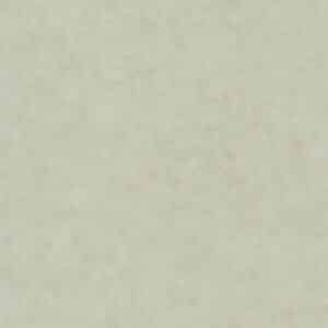 Caselio Beton Uni Vert Lichen BTO101487270