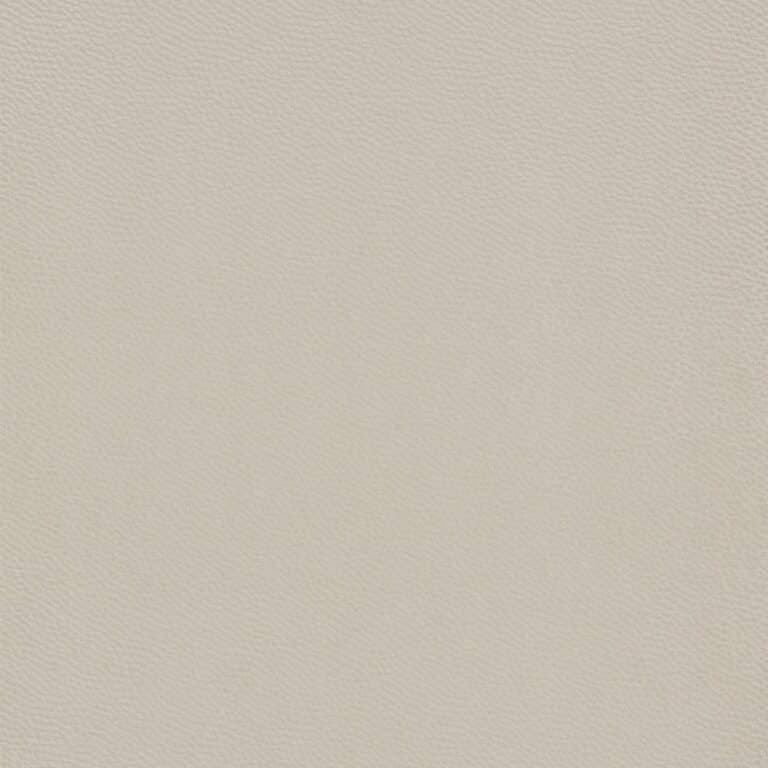 gVEJmMjaZv