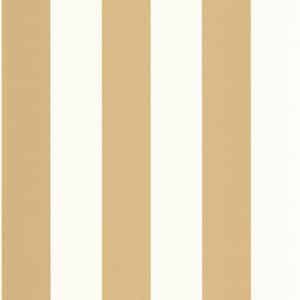 Caselio Wide Lines Doree BAI104022020