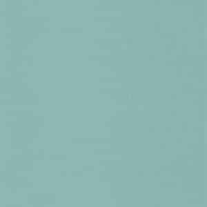 Caselio Uni Vert Menthe FRT100607211
