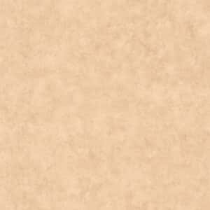 Caselio Beton Uni Cafe Latte BTO101482446