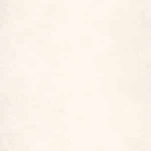 Caselio Beauty Full Image Uni Beige Clair Nacre BFI100221000