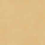 11039 – Left211