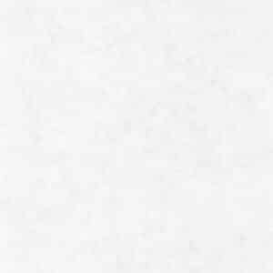 Caselio Beton Uni Gris Clair BET101489000