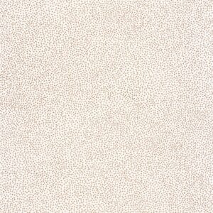 Caselio Color Box 3 Sparkle Blanc Or CB3101730020