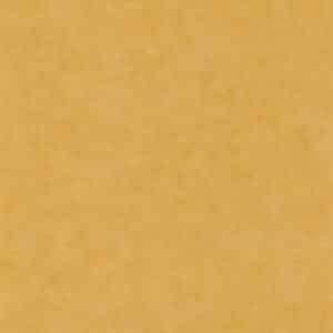 Caselio Beton Uni Miel Dore Clair BET101482000