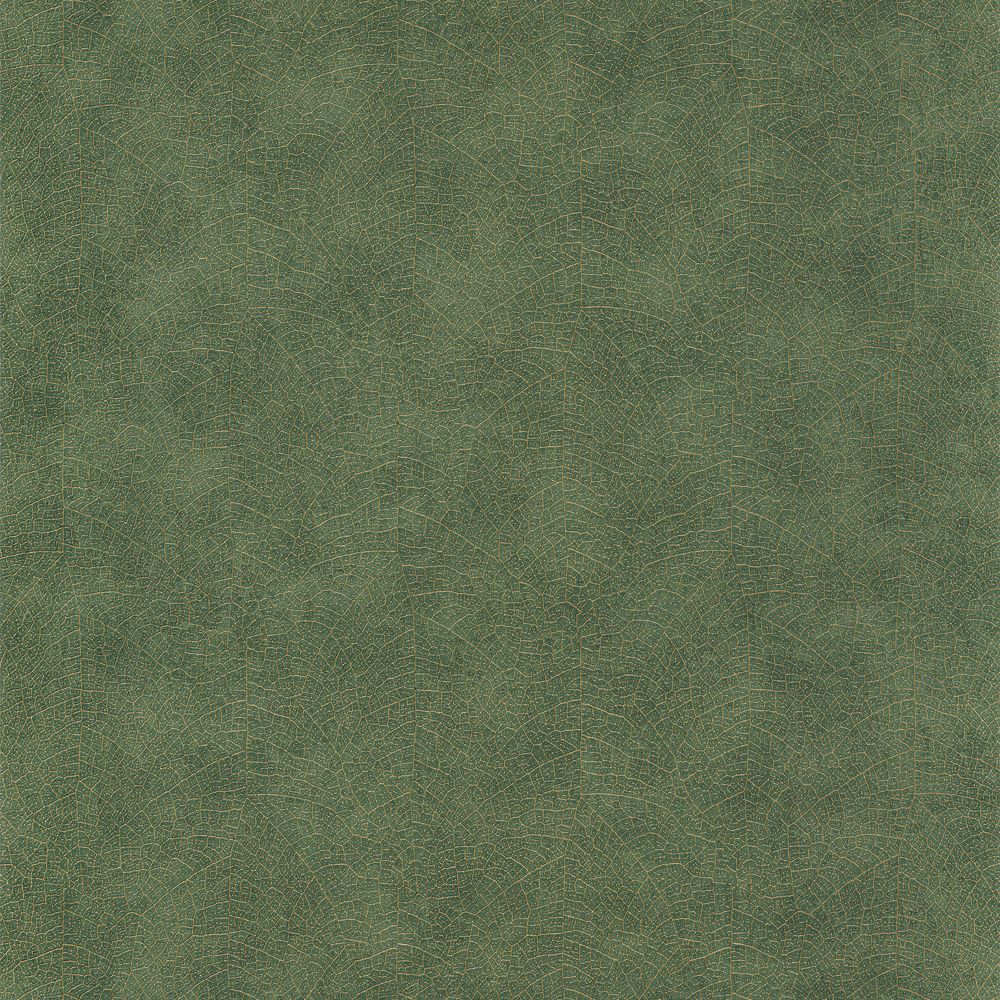 10996 – Left211