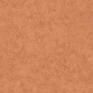 Caselio Beton Uni Acajou BTO101483434
