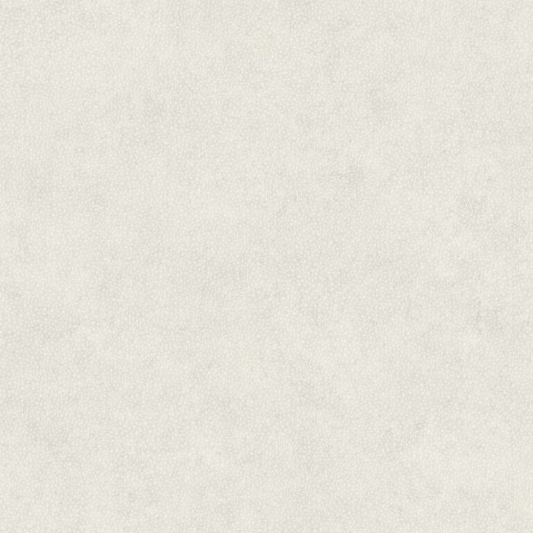 u1c1cE45AP